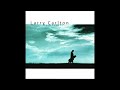 Larry Carlton  Morning Magic