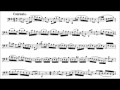 Johann Sebastian Bach: Cello Suite No.1 III-Courante