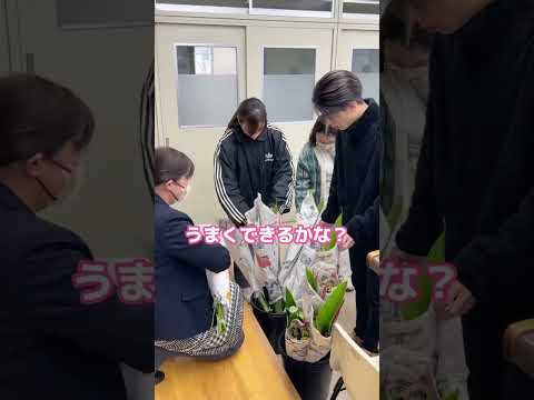 人間生活学科「華道」の授業に潜入してみた💐#華道 #人間生活学科 #徳島文理大学 #shorts