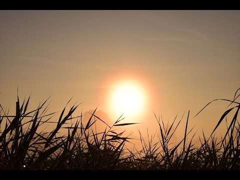 download lagu mp3 mp4 David Kevans, download lagu David Kevans gratis, unduh video klip David Kevans