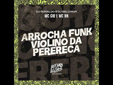 arrocha Funk violino da perereca: DJ Ronaldo #funk #music #viral #bailedefavela #funkmusic #video