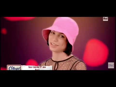 Gaia Cascino || Collegio 6 Backstories