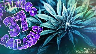 Tropitango-oye mi cumbia (angeles azules)