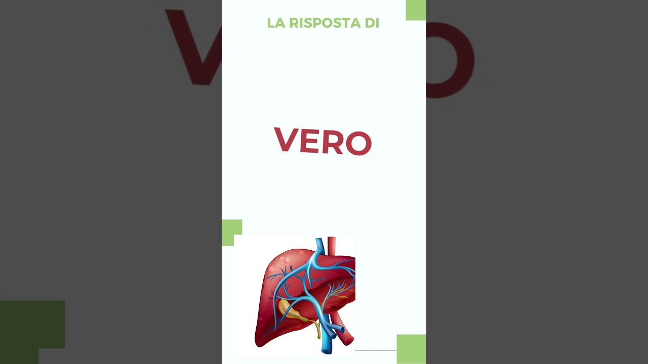 41 - Il fegato è dotato di capacità autorigenerativa? - My Special Doctor
