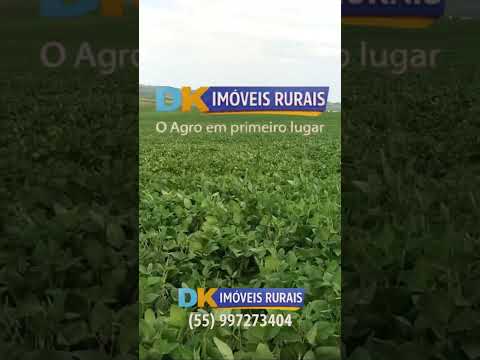 🚜 Fazendas à Venda e Arrendamento no RS | Oportunidades para Investidores e Produtores 🌾