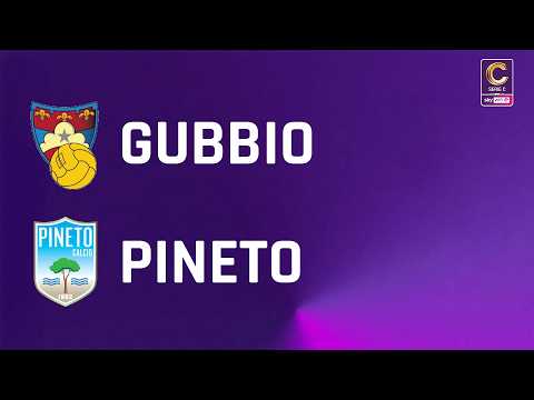 bg-highlight