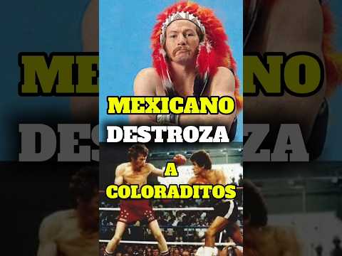 MEXICANO DESTROZA A COLORADITO | SALVADOR SÁNCHEZ VS DANY COLORADITO LÓPEZ #boxeomexicano