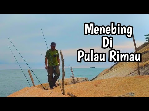 Tarikan Ikan Besar Mancing Di PULAU RIMAU || Landbased Fishing