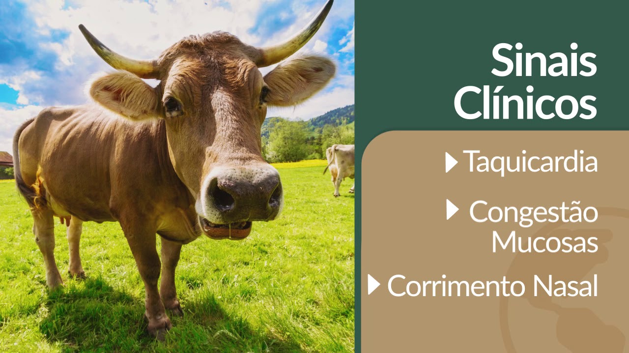 J.A Online - PNEUMONIA