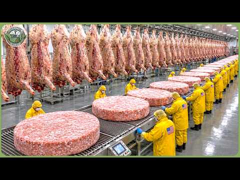 How 200 Million Tons of Frozen Food Are Made – Inside Massive Modern Factories