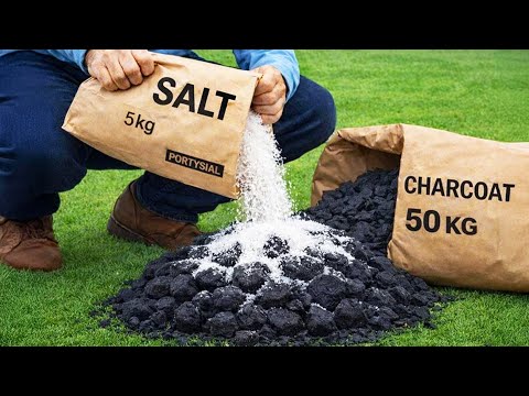 Mix Charcoal with Salt 😱! Most People Won't Believe What Happens Next!