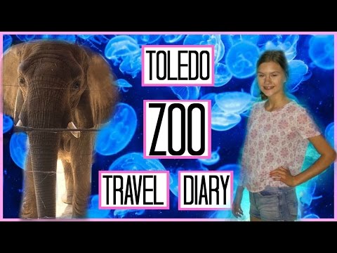 Toledo Zoo Travel Diary! Video