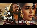 Tu Meri Zindagi تُو میری زِندگی Soulful Sufi Love Qawwali Heart Touching SunDilSe Origi