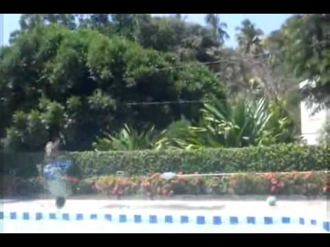 Aula da Saudade 3ºA EAPC 2009 - Set Me Free