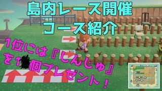 【あつ森】第2回島内レース開催！！参加型【AnimalCrossing】