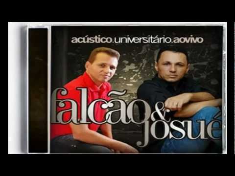 Divino Companheiro video