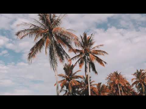 Video thumbnail for Paradise