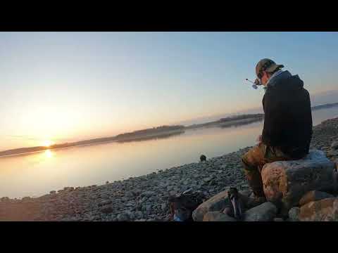 Article 16 (SIL16) permits in Finland