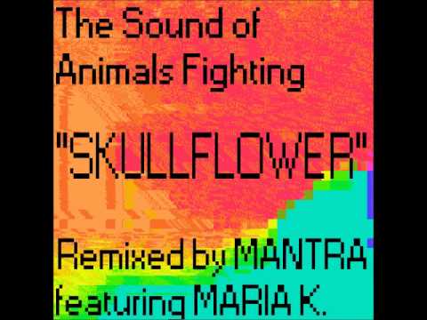 The Sound of Animals Fighting - Skullflower (Mantra Remix feat. Maria K.)
