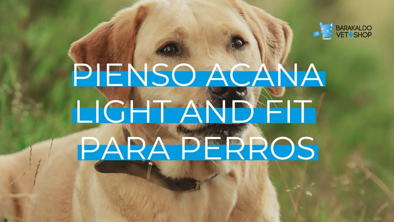 【 Pienso ACANA LIGHT AND FIT 】Pienso para tu PERRO 🐶