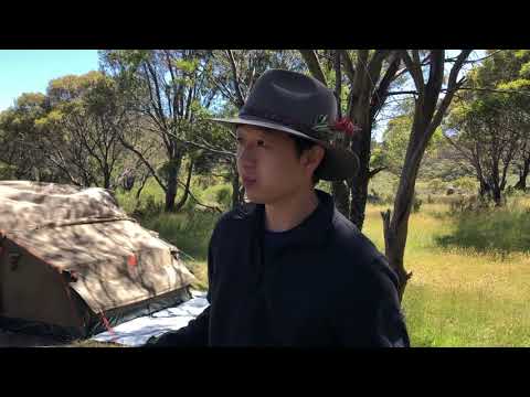 Gungarlin River Camping