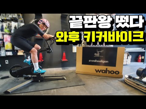 가장 진보된 자전거 스마트로라, 와후 키커바이크 트레이너 언박싱 리뷰 (wahoo kickr bike smart trainer review)