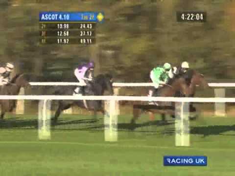 2011 Ascot - Qipco Champion Stakes
