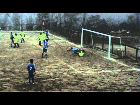 CAMPIA-CF OS REPESENSES 1-15
