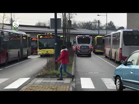 Oog op De Bilt - Verkeersproblemen bij station Bilthoven.