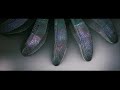 THX Amazing Life With Extracted Audio Channels