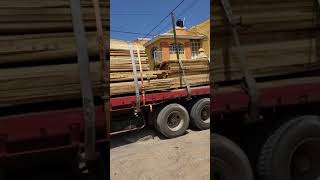 Madera de rosa morada en Guadalajara