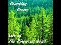 Counting Crows- Good Time