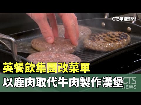 英餐飲集團改菜單　以鹿肉取代牛肉製作漢堡