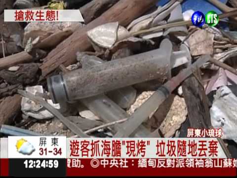 每天湧入千人! 小琉球生態遭破壞