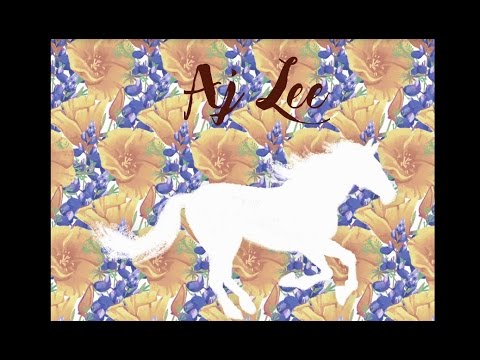 AJ Lee New CD Release 2017!