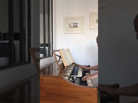 FFPM 90 -TSY HAIKO NY MILAZA RE