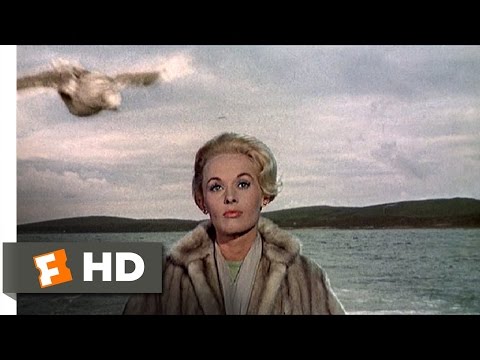 鳥たち (1/11) Movie CLIP - カモメの攻撃 (1963) HD (The Birds (1/11) Movie CLIP - Seagull Attack (1963) HD)