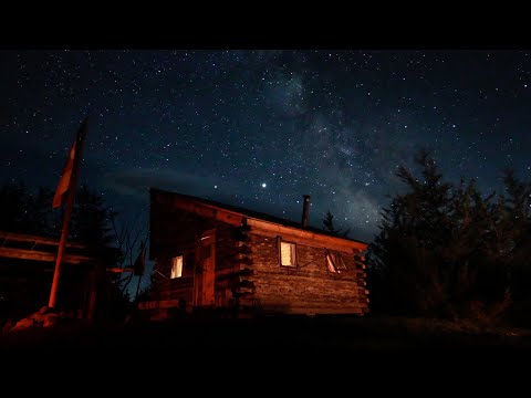 Cathy and Peter Start Building Their Log  Cabin - Logs & Tools | PIONEER LIFE CIRCA1700