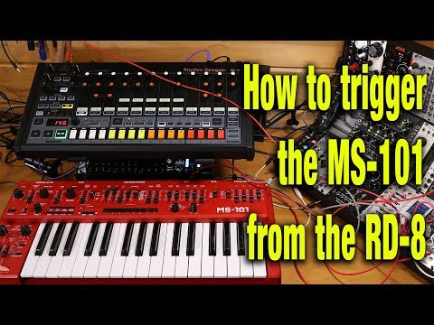 How to trigger the MS-101 / MS-1 sequencer from the RD-8 trigger output