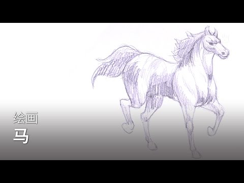 绘画：马 | 学习绘画