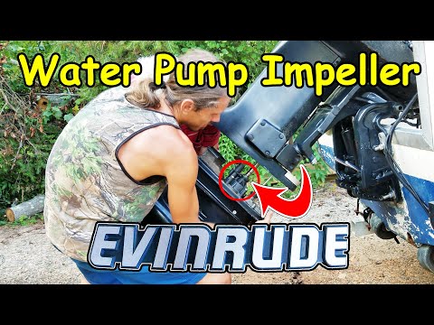How To Change An Evinrude Outboard Water Pump Impeller