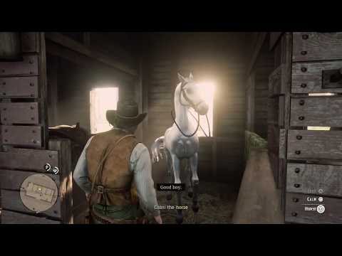 Red Dead Redemption 2 Stealing Horse worth 5000 $ Each