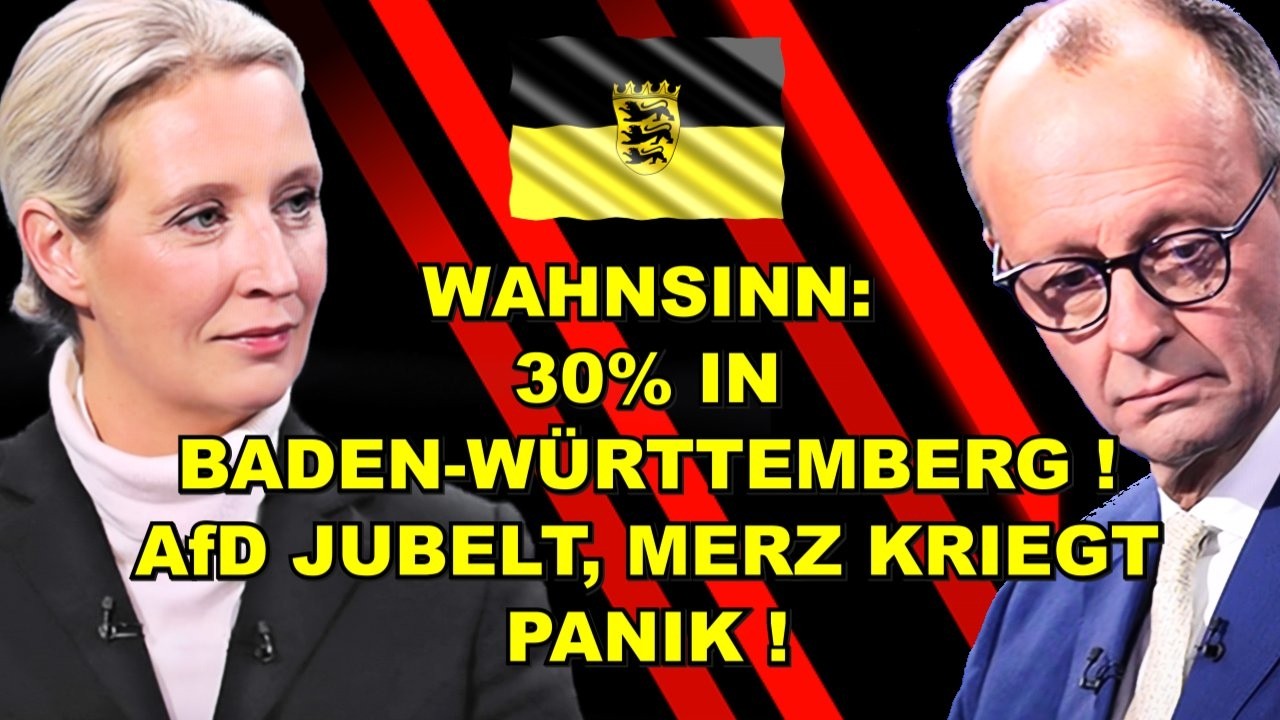 30% in BaWü! AfD JUBELT, Merz IN PANIK!