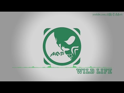 Wild Life by Martin Hall - [Indie Pop Music]