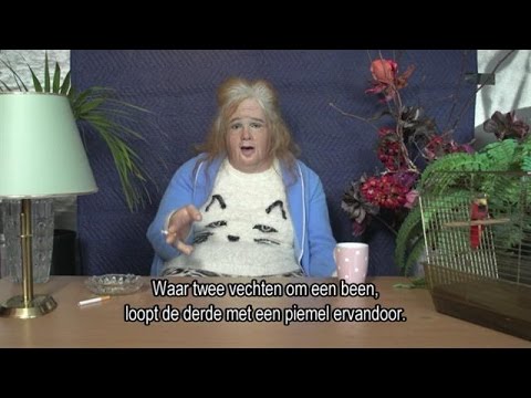 Gerrie bereidt een trio voor - DINO.