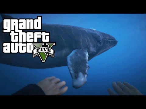 GTA 5 - Lokasi Paus Bungkuk Di GTA 5!!!!