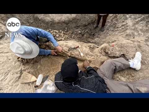 Inside Myles Garrett's incredible dig for fossils in North Dakota