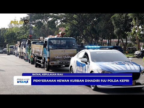 POLDA KEPRI SALURKAN 150 EKOR HEWAN KURBAN SAMBUT IDULADHA 1446H