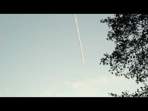 Gediminas Gelgotas: Į dangų / To The Skies | Johannes Hustedt (flute), Jūratė Landsbergytė (organ)