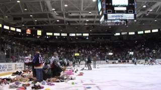 Everblades' Teddy Bear Toss Night